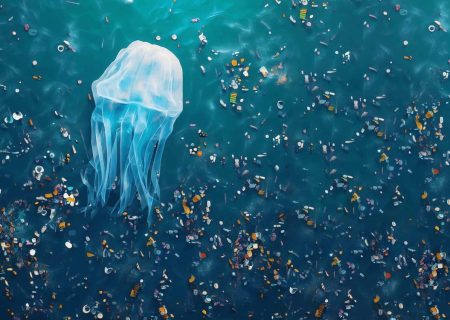 ضرورت راه‌اندازی پایگاه ملی پایش ریزپلاستیک‌ها در خارگ