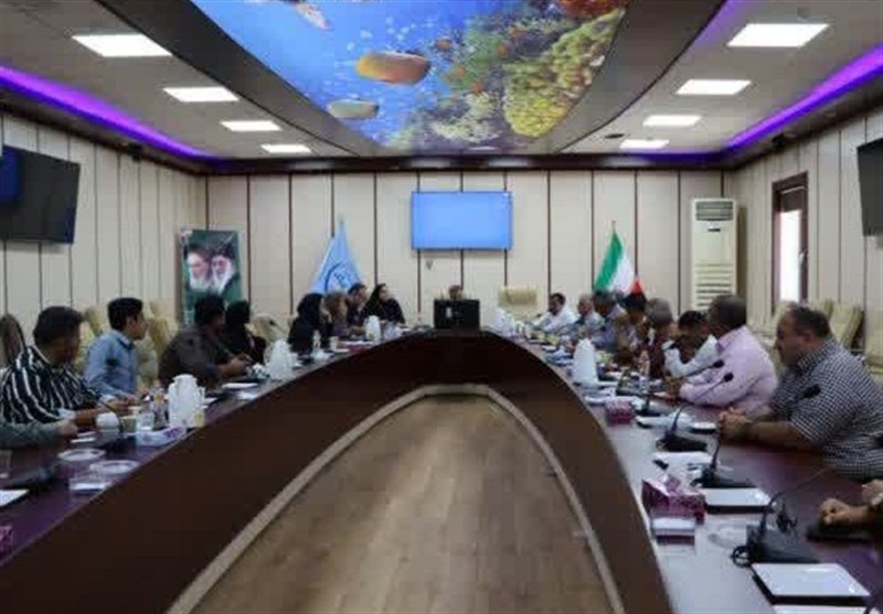مدیریت دقیق برداشت میگو، کلید بهرهوری و رونق اقتصادی آبزیپروری بوشهر