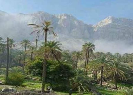 جم؛ از تمدن کهن تا قطب رسانه‌ای معاصر