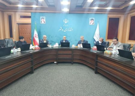 ساماندهی فوری کشتارگاه‌های دام در دستور کار قرار گرفت