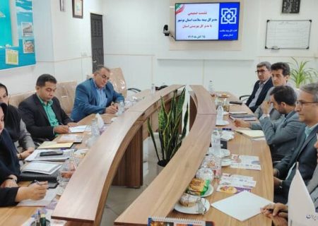 تأکید بهزیستی بوشهر بر رفع موانع درمانی مددجویان  همکاری با بیمه سلامت تقویت می‌شود