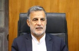 بیمه رانندگان اینترنتی باید اجباری شود