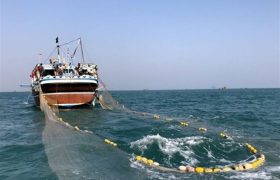 ۴۷ هزار تن آبزیان در سواحل استان بوشهر صید شد