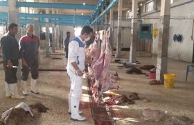 سرمایه‌گذاری ۲۵۰ میلیارد تومانی کشتارگاه صنعتی بوشهر