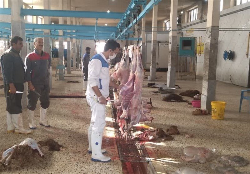 سرمایه‌گذاری ۲۵۰ میلیارد تومانی کشتارگاه صنعتی بوشهر