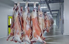 توسعه صنایع فرآوری و بسته‌بندی محصولات پروتئینی در بوشهر