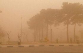 صدور هشدار هواشناسی سطح زرد برای بوشهر