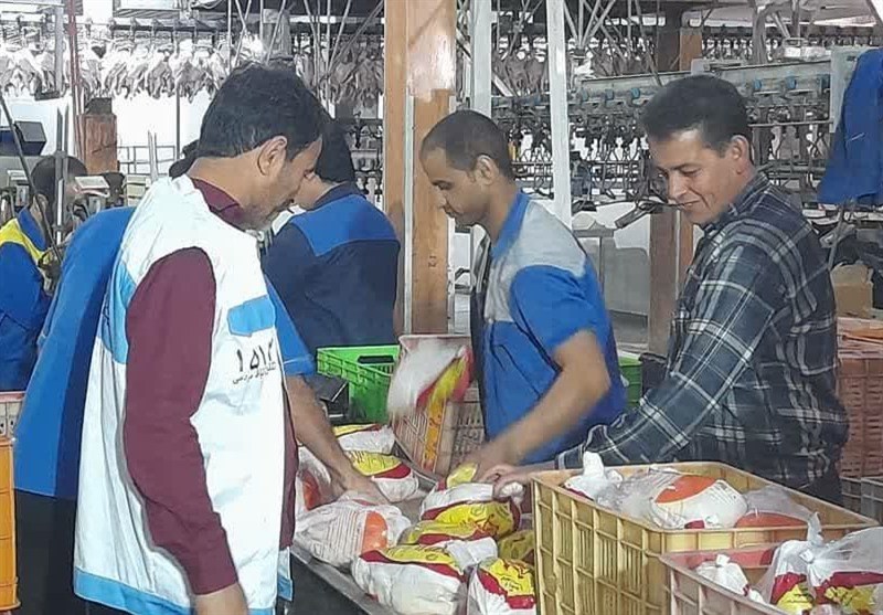 تشدید نظارت دامپزشکی بوشهر با فعالیت ۴۰ اکیپ در نوروز و رمضان