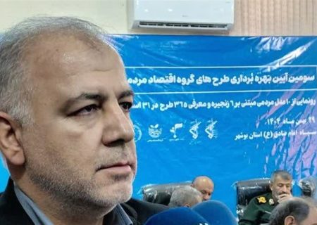 رشد ۲۵۰۰ درصدی طرح‌های اقتصاد مردمی در کشور