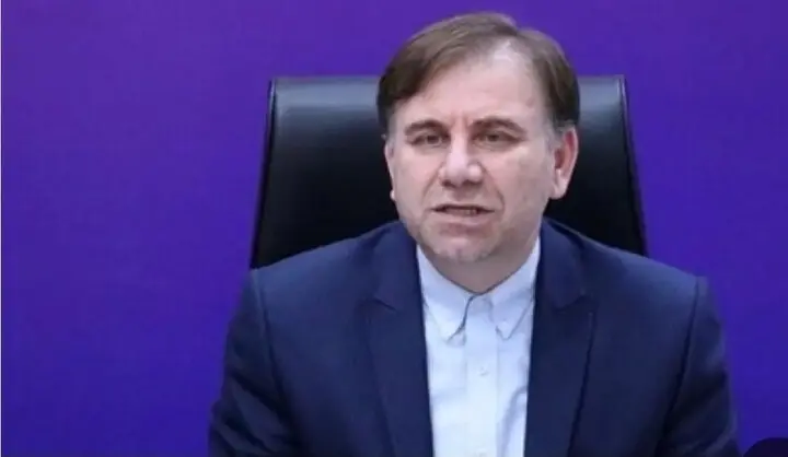 استاندار بوشهر خواستار تسریع در تکمیل طرح آبیاری نوین نخیلات شد