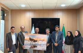 فرماندار عسلویه از اداره محیط زیست شهرستان بازدید کرد