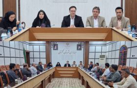 تعاونی‌ها محور توسعه اقتصادی تنگستان هستند
