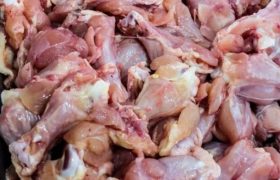 کشف و معدوم‌سازی ۱۰۰ کیلوگرم مواد غذایی فاسد در بوشهر