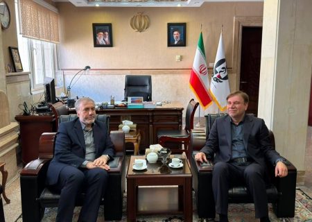 استاندار بوشهر بر راه‌اندازی دهکده امید به زندگی تأکید کرد
