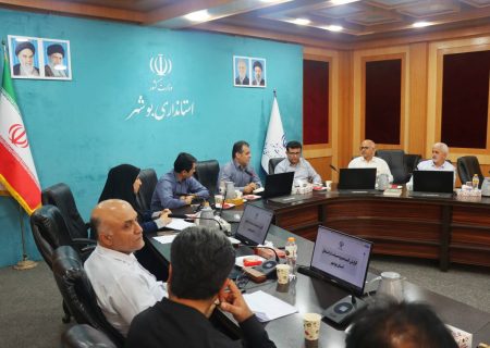 نقشه راه صیانت از اشتغال در بوشهر تدوین شد