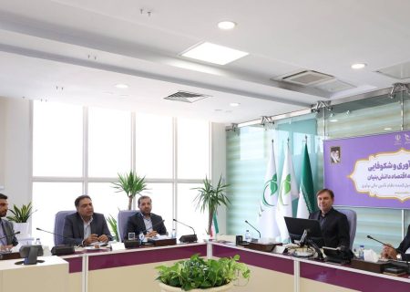 تأکید استاندار بوشهر بر تقویت حمایت از شرکت‌های دانش‌بنیان