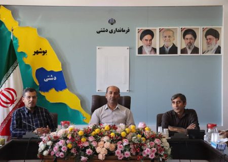 دو نیروگاه خورشیدی جدید در دشتی وارد مدار می‌شود