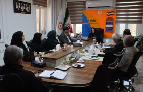 همکاری بهزیستی و بخش خصوصی برای راه‌اندازی فروشگاه حمایتی در بوشهر