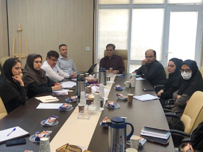 نظارت بر عملکرد پزشکان در بوشهر تقویت می‌شود