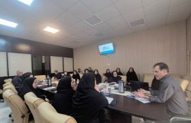 نقش شاخص‌های عملکردی در ارتقای کیفیت بیمارستان‌های بوشهر