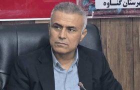 سمن‌ها در مسیر توسعه گناوه نقش‌آفرین می‌شوند