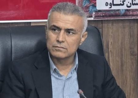 سمن‌ها در مسیر توسعه گناوه نقش‌آفرین می‌شوند