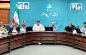 بررسی افق توسعه بوشهر در کارگروه امور زیربنایی