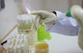 انجام ۳۸ هزار آزمایش دامپزشکی در بوشهر طی سه ماه