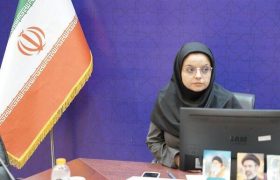 تدوین ضوابط جدید نمای شهری بوشهر با محوریت هویت بومی