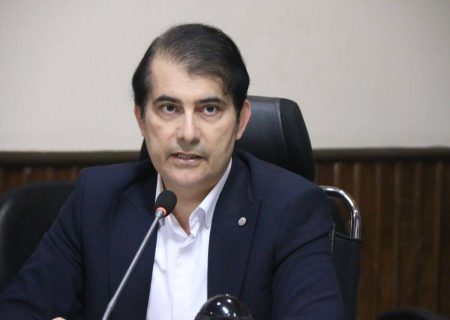 عناصر نادر معدنی در کانون برنامه توسعه معادن بوشهر