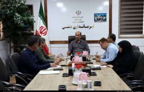 فرماندار دشتی بر تبیین دستاوردهای دولت و تکمیل پروژه‌های نیمه‌تمام تأکید کرد