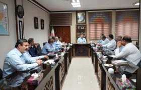 استاندار بوشهر بر تشدید نظارت فرمانداران بر بازار تأکید کرد