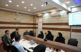 برنامه‌ریزی برای کاهش مرگ مادران و نوزادان در بوشهر