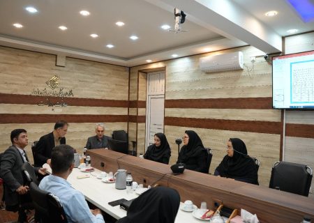 برنامه‌ریزی برای کاهش مرگ مادران و نوزادان در بوشهر