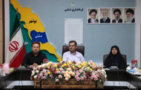 الزام رعایت مناسب‌سازی در پروژه‌های عمرانی دشتی