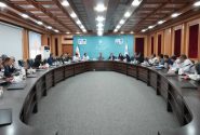 ابلاغ ۲۷۲ مصوبه برای رفع موانع تولید در بوشهر