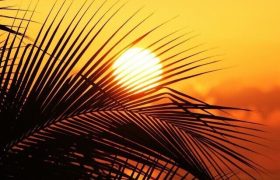 دمای بوشهر به آستانه ۵۰ درجه می‌رسد