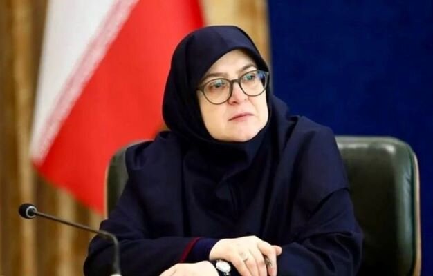 دولت بازسازی مناطق آسیبدیده بوشهر را با جدیت پیگیری میکند