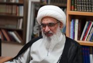صفایی بوشهری: منطقه آزاد بوشهر به هاب تجارت و ترانزیت تبدیل شود