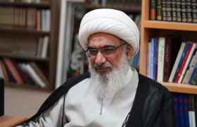 صفایی بوشهری: منطقه آزاد بوشهر به هاب تجارت و ترانزیت تبدیل شود