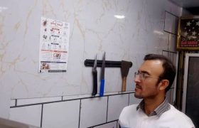 پیشگیری از تب کریمه کنگو در بوشهر؛ آموزش و اطلاع‌رسانی تشدید شد