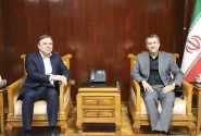 استاندار بوشهر بر شتاببخشی به توسعه منطقه آزاد تأکید کرد