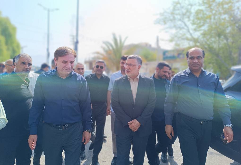 وزیر بهداشت وارد عسلویه شد