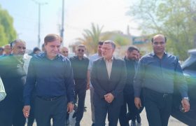 وزیر بهداشت وارد عسلویه شد