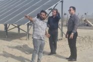تنگستان برای تولید ۶۰ مگاوات برق خورشیدی برنامه‌ریزی کرد