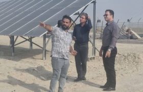 تنگستان برای تولید ۶۰ مگاوات برق خورشیدی برنامه‌ریزی کرد