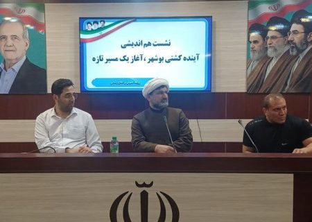 نقشه راه کشتی بوشهر با ارزیابی ظرفیت شهرستان‌ها تدوین می‌شود