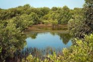 آبرسانی مستمر به مخازن ذخیره آب پارک ملی دریایی نای‌بند