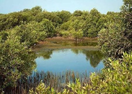 آبرسانی مستمر به مخازن ذخیره آب پارک ملی دریایی نای‌بند