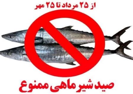 صید ماهی شیر در بوشهر دو ماه ممنوع شد